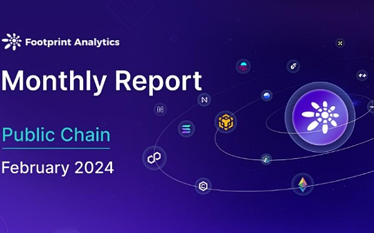 2024 年 2 月公鏈行業研報