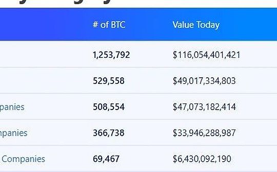 大機構持有的比特幣 已經這么多了