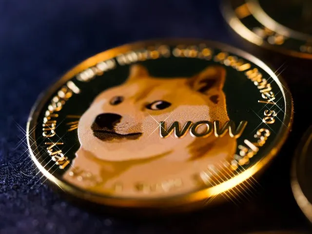 馬斯克的矽谷 VC 弟兄們正爭相進入 DOGE 委員會，2025 年有望帶來區塊鏈產業新氣象